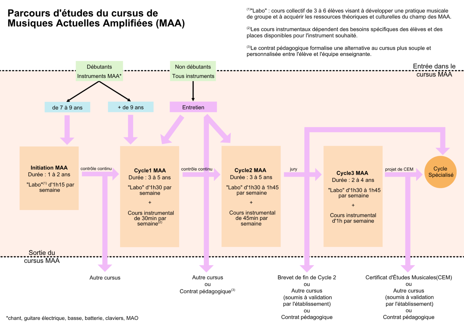 schéma cursus musiques actuelles amplifiées